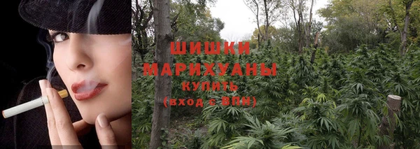 трава Аркадак